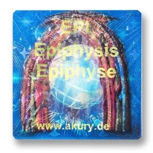 EPI - Epiphysis