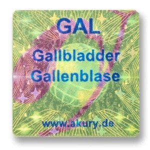 GAL - Gallbladder