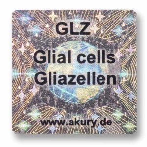 GLZ - Glial Cells