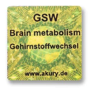 GSW - Brain Metabolism