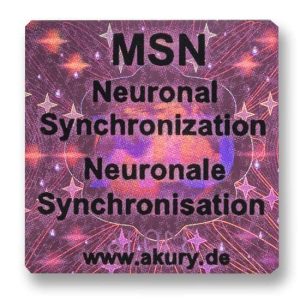 MSN - Neuronal Synchronization