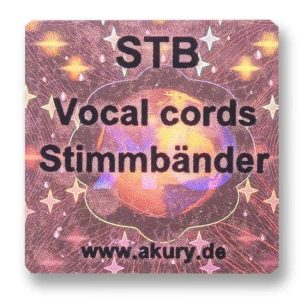STB - Vocal Cords