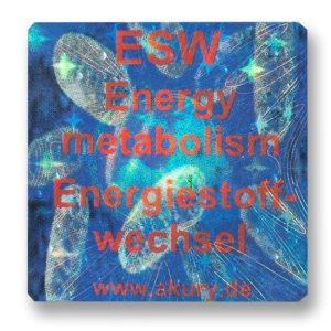 ESW - Energy Metabolism