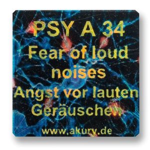 PSY A 34 - Fear of Loud Noises