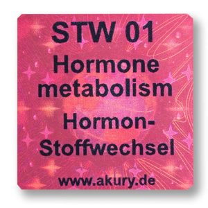 STW 01 Hormone metabolism