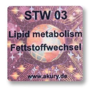 STW 03 Fat metabolism