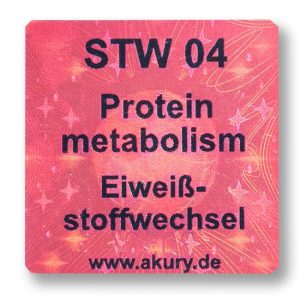 STW 04 Protein metabolism