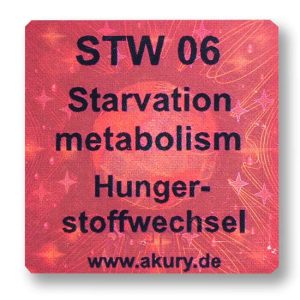 STW 06 Starvation metabolism