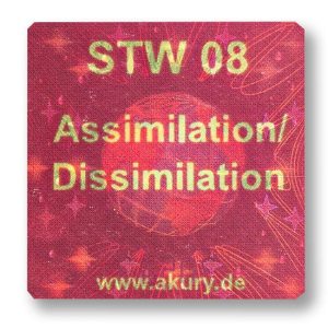 STW 08 Assi- Dissimilation