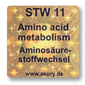 STW 11 - Amino acid metabolism