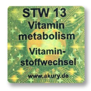 STW 13 - Vitamin metabolism