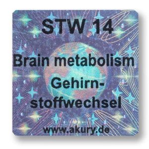 STW 14 Brain metabolism