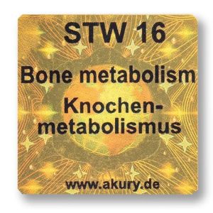 STW 16 Bone metabolism