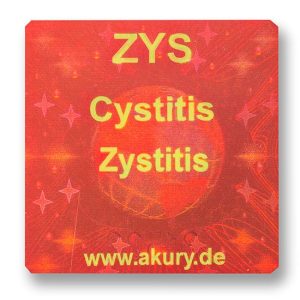 ZYS Cystitis
