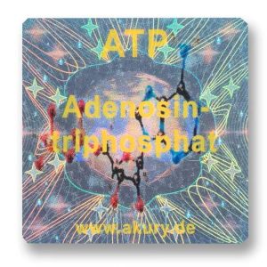 ATP - Adenosintriphosphat