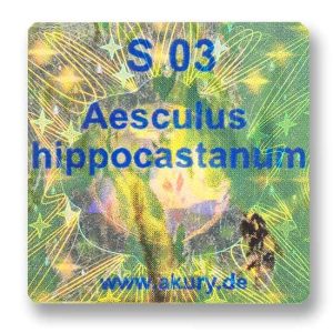 S 03 - Horse chestnut / Aesculus hippocastanum