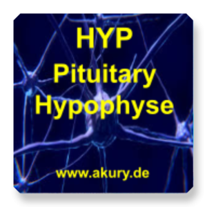 HYP Hypophysis