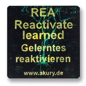 REA - Reactivate learned