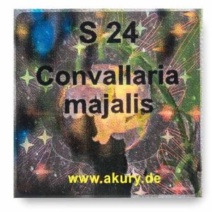 S 24 - Lily of the Valley / Convallaria majalis
