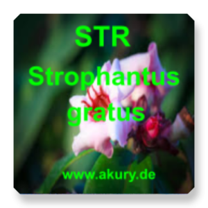 STR - Strophanthus gratus