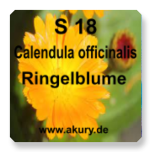 S 18 - Calendula officinalis (Marigold)