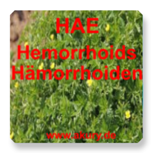 HAE - Hämorrhoiden
