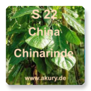 S 22 - China / Chinarinde
