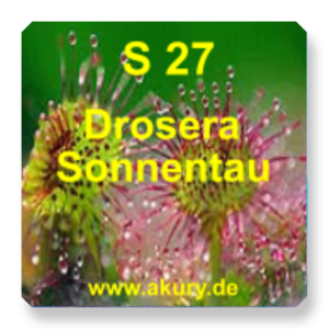 S 27 - Drosera / Sonnentau