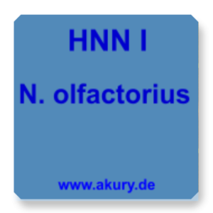 HNN I N. olfactorius