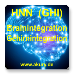 HNN GHI (Brain Integration)