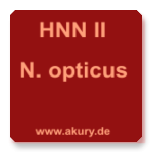HNN II N. opticus