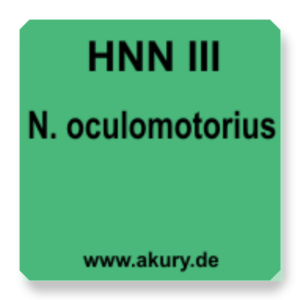 HNN III N.oculomotorius