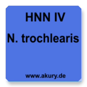 HNN IV N.Trochlearis