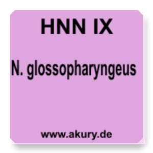 HNN IX N. glossopharyngeus