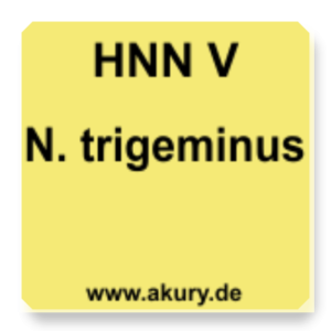 HNN V Nervus trigeminus