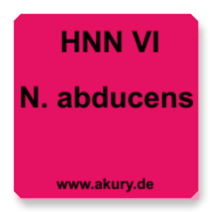 HNN VI Nervus abducens