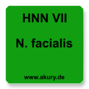 HNN VII N. fecialis