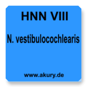 HNN VIII N. vestibulocochlearis