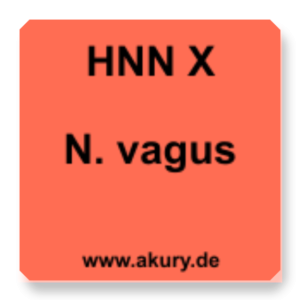 HNN X N.vagus