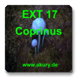 EXT 17 - Coprinus comatus