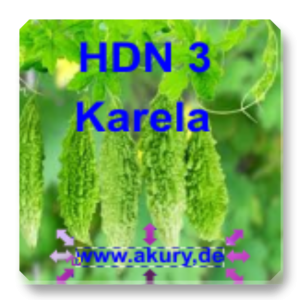 HDN 3 - Karela