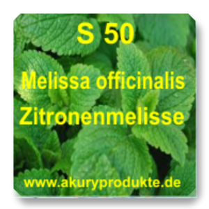 S 50 Melissa officinalis (Zitronenmelisse)
