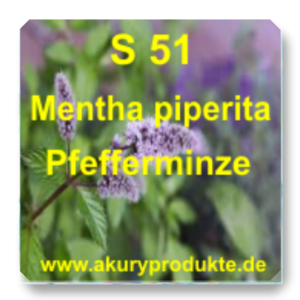 S 51 Mentha piperita (Pfefferminze)