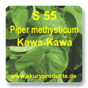 S 55 Piper methysticum (Kawa-Kawa)