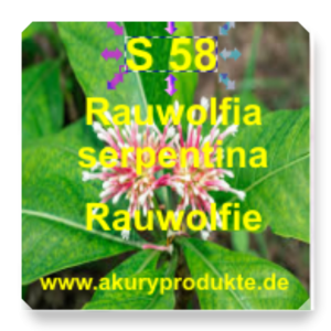 S 58 Rauwolfia serpentina (Rauwolfie / Schlangenwurz)