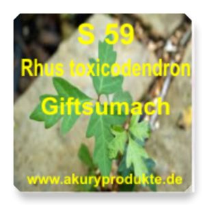 S 59 Rhus toxicodendron (Giftsumach / Giftsumach / Rhus tox)