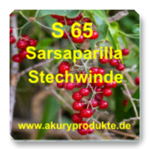 S 65 Sarsaparilla (Sarsaparilla / Stechwinde)