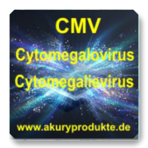 CMV Cytomegalovirus